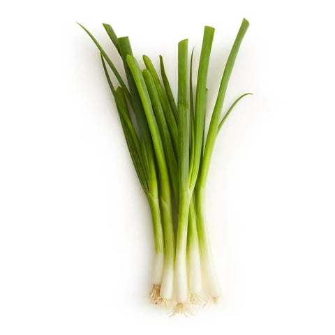 Spring Onion