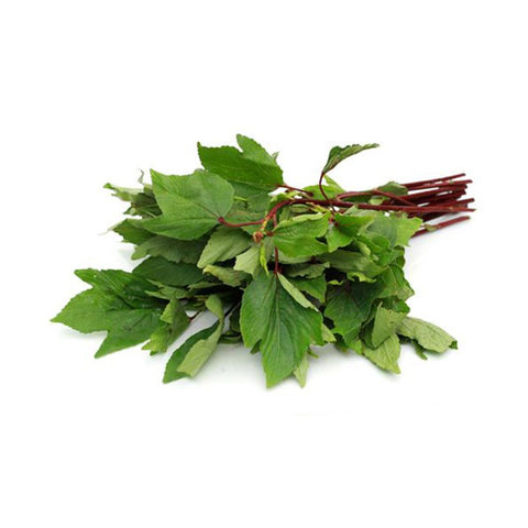 Gongura Leaves