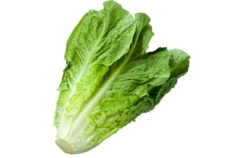 Lettuce