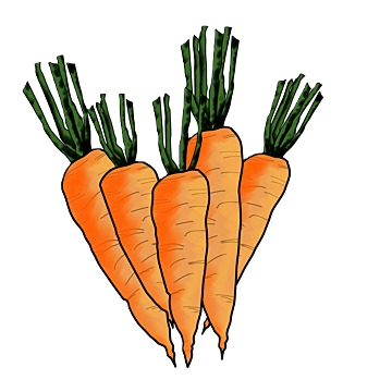 Carrots 2lb